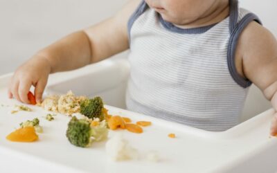 ALIMENTACIÓN EN EL BEBE