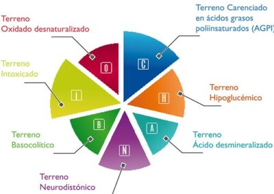 Consulta Nutrición