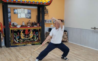 «Kung Fu Choy Li Fut: una tradición marcial viva para el cuerpo, la mente y el espíritu»