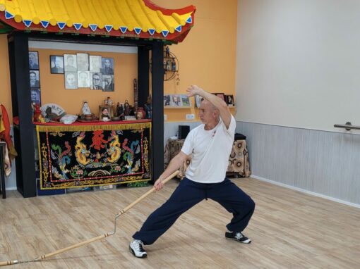 «Kung Fu Choy Li Fut: una tradición marcial viva para el cuerpo, la mente y el espíritu»